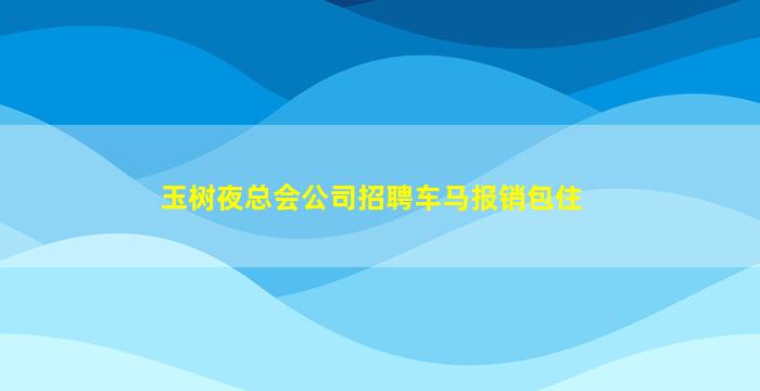 玉树夜总会公司招聘车马报销包住
